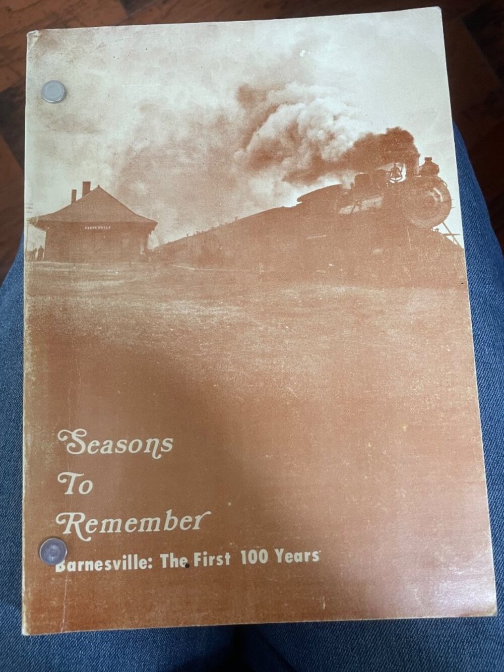 Seasons To Remember Barnesville The First 100 Years Historical Book